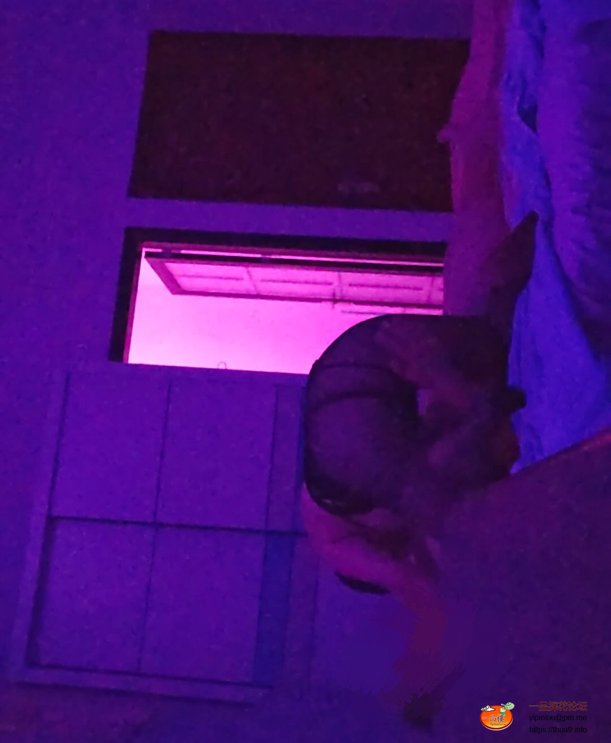 IMG_20250914_072908.jpg