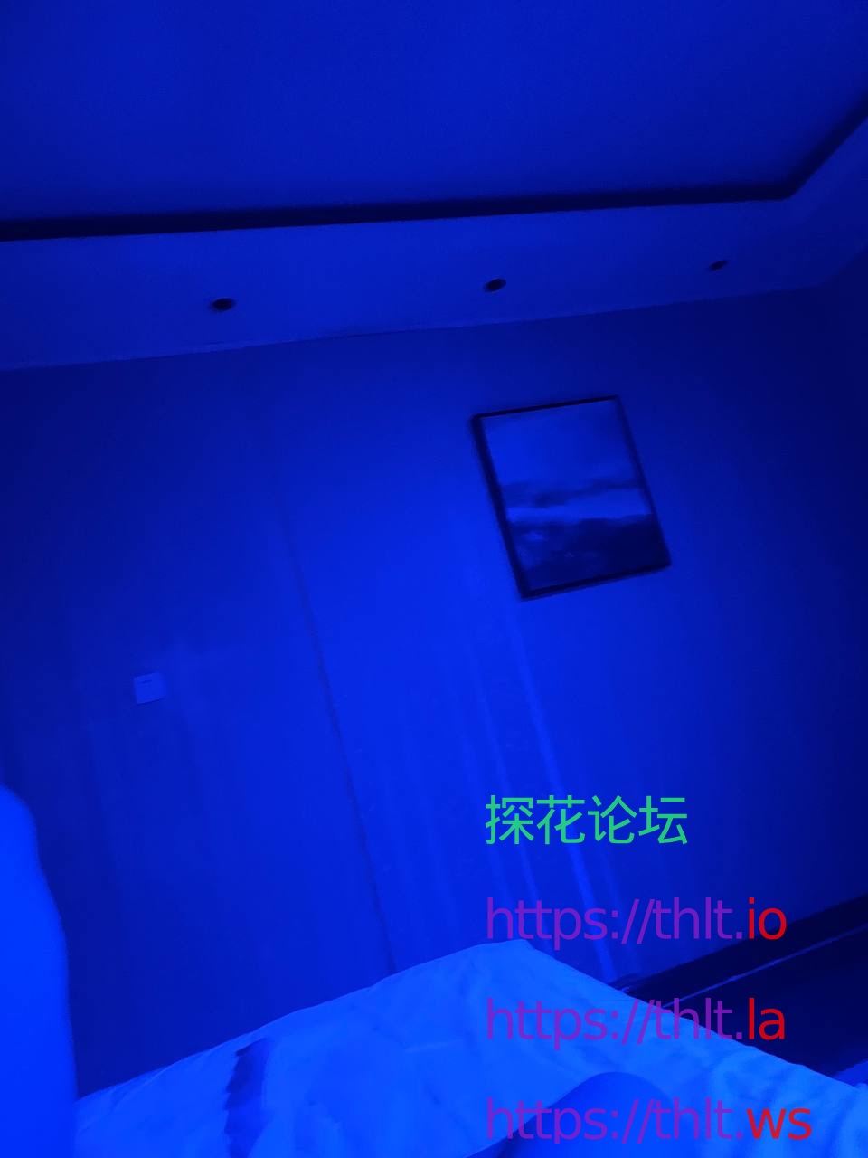 IMG_1384.jpeg